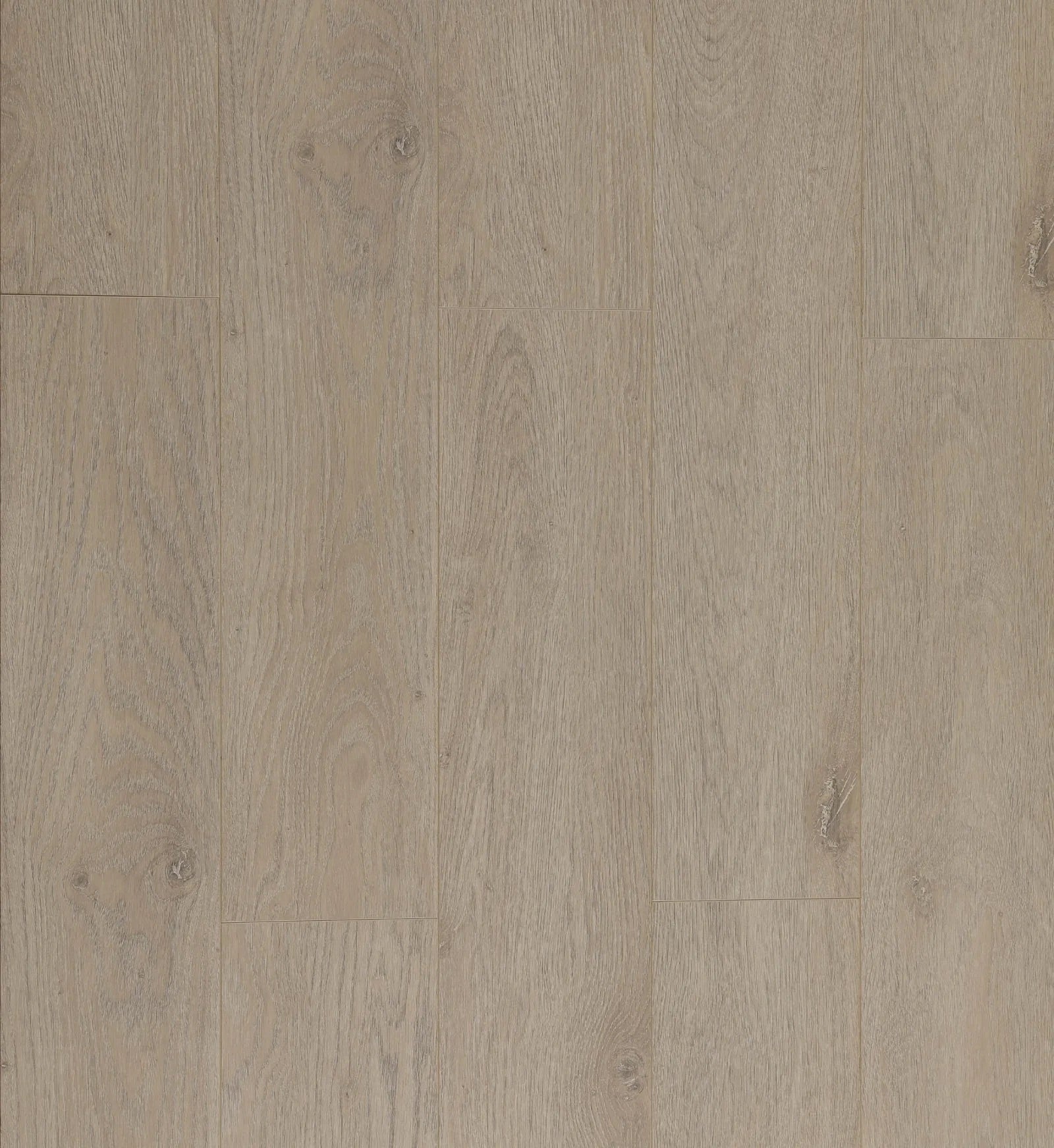 Purelux 14mm Collection – Banwell Laminate Flooring – Rexwood Flooring Toronto