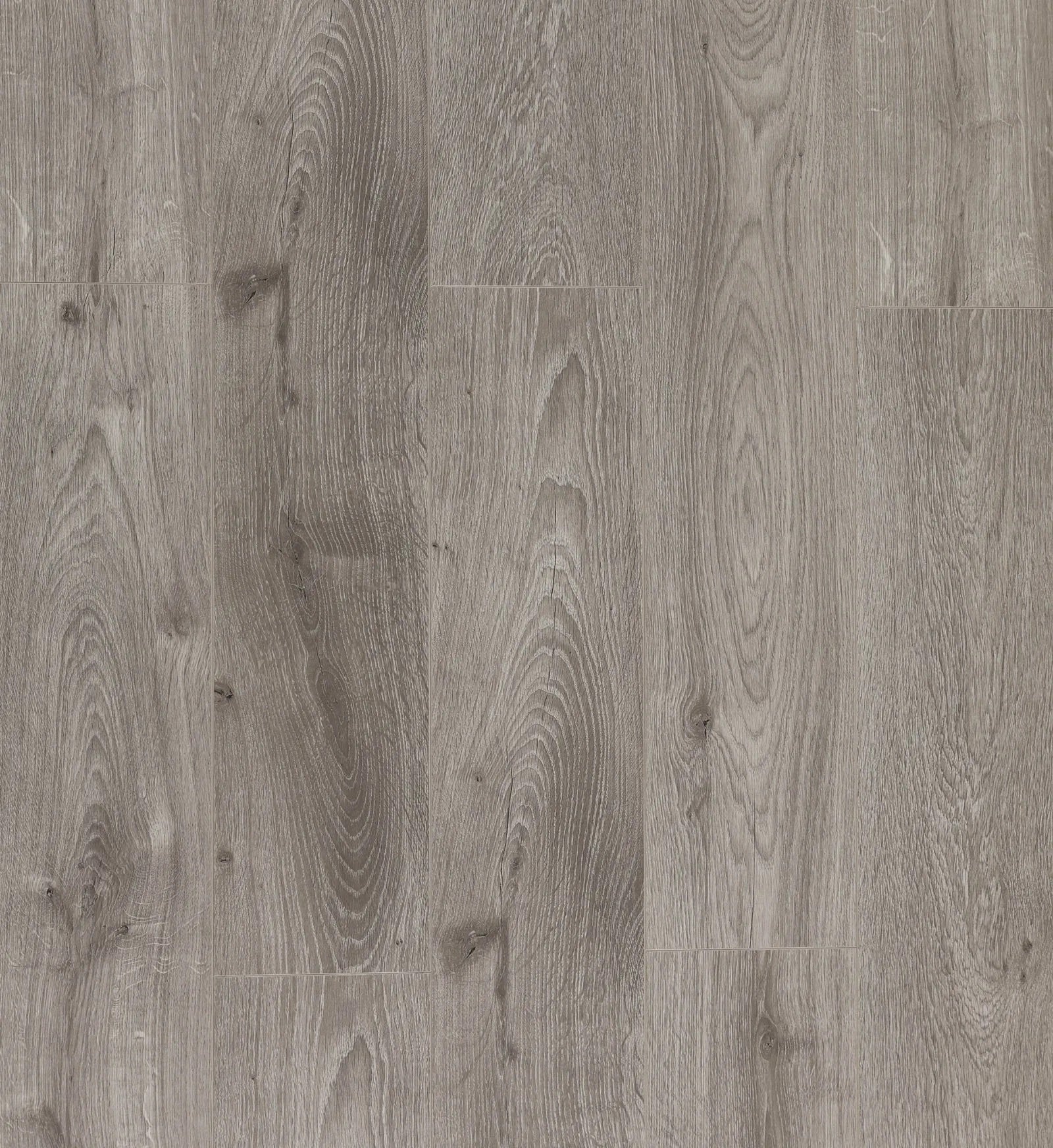 Purelux 14mm Collection – Dougall Laminate Flooring – Rexwood Flooring Toronto