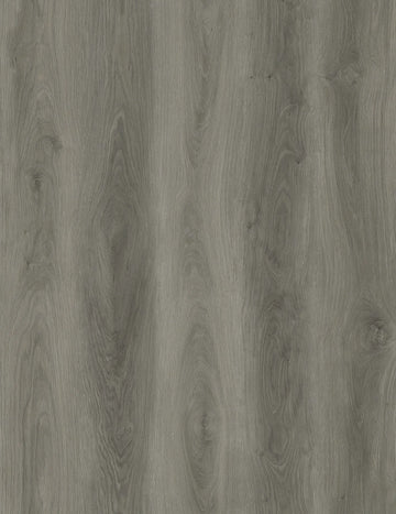 Charcoal PS103