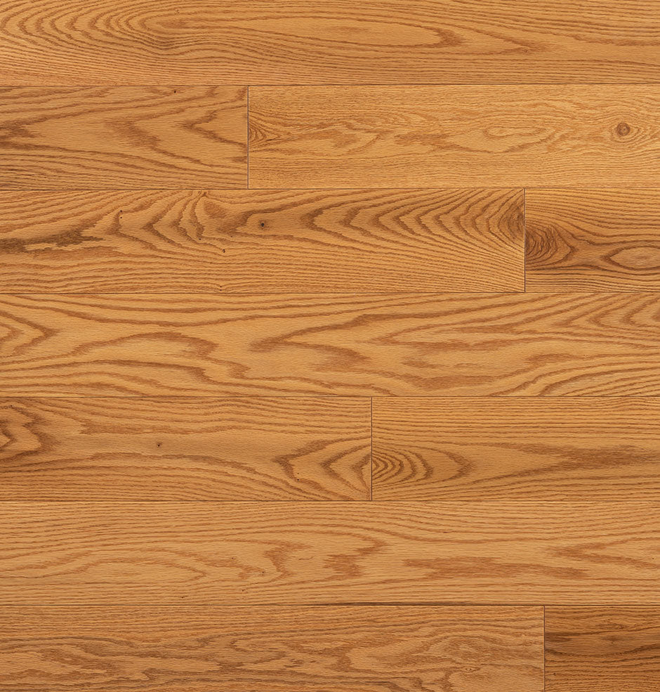 Wickham Domestic Solid Hardwood Red Oak Honey Gold Rexwood Flooring Toronto