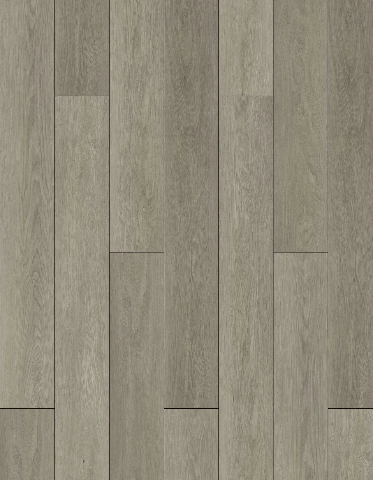Pangol SPC Vinyl Flooring 8mm Collection