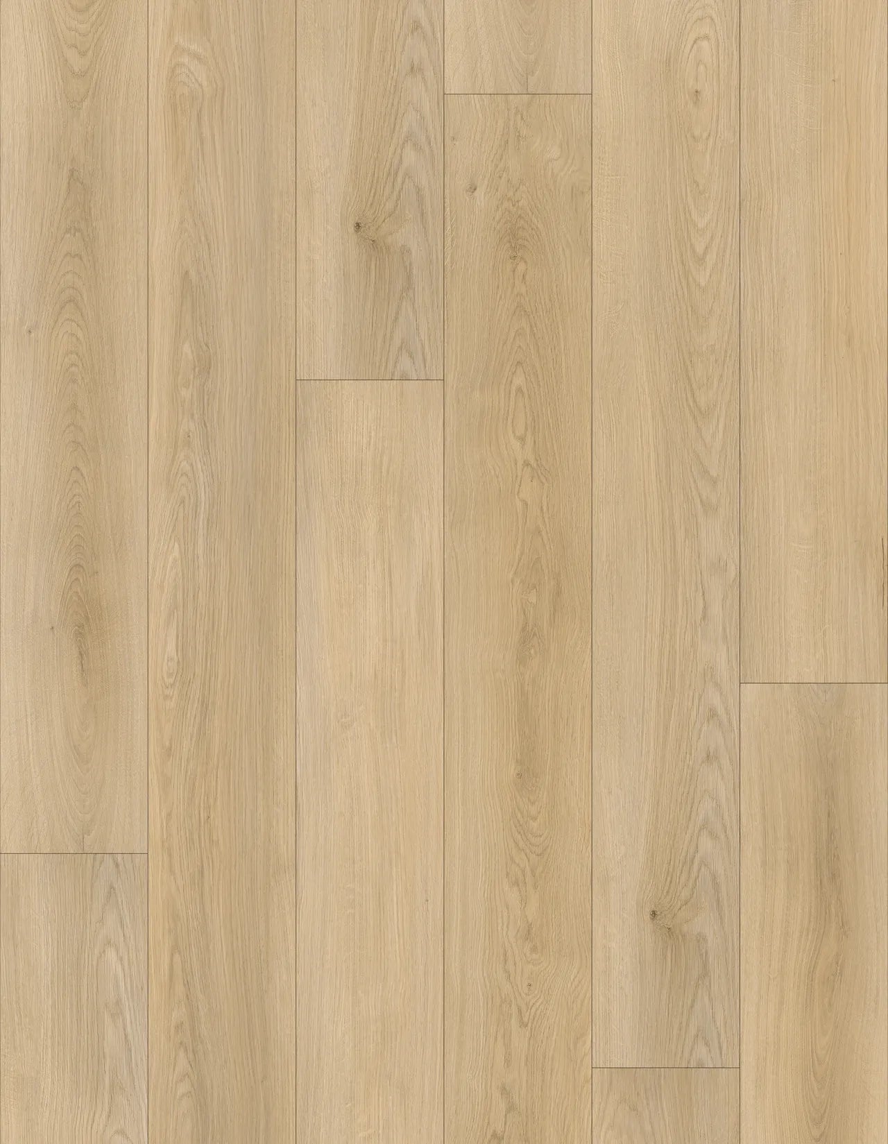 Pangol SPC Vinyl Flooring 8mm Collection