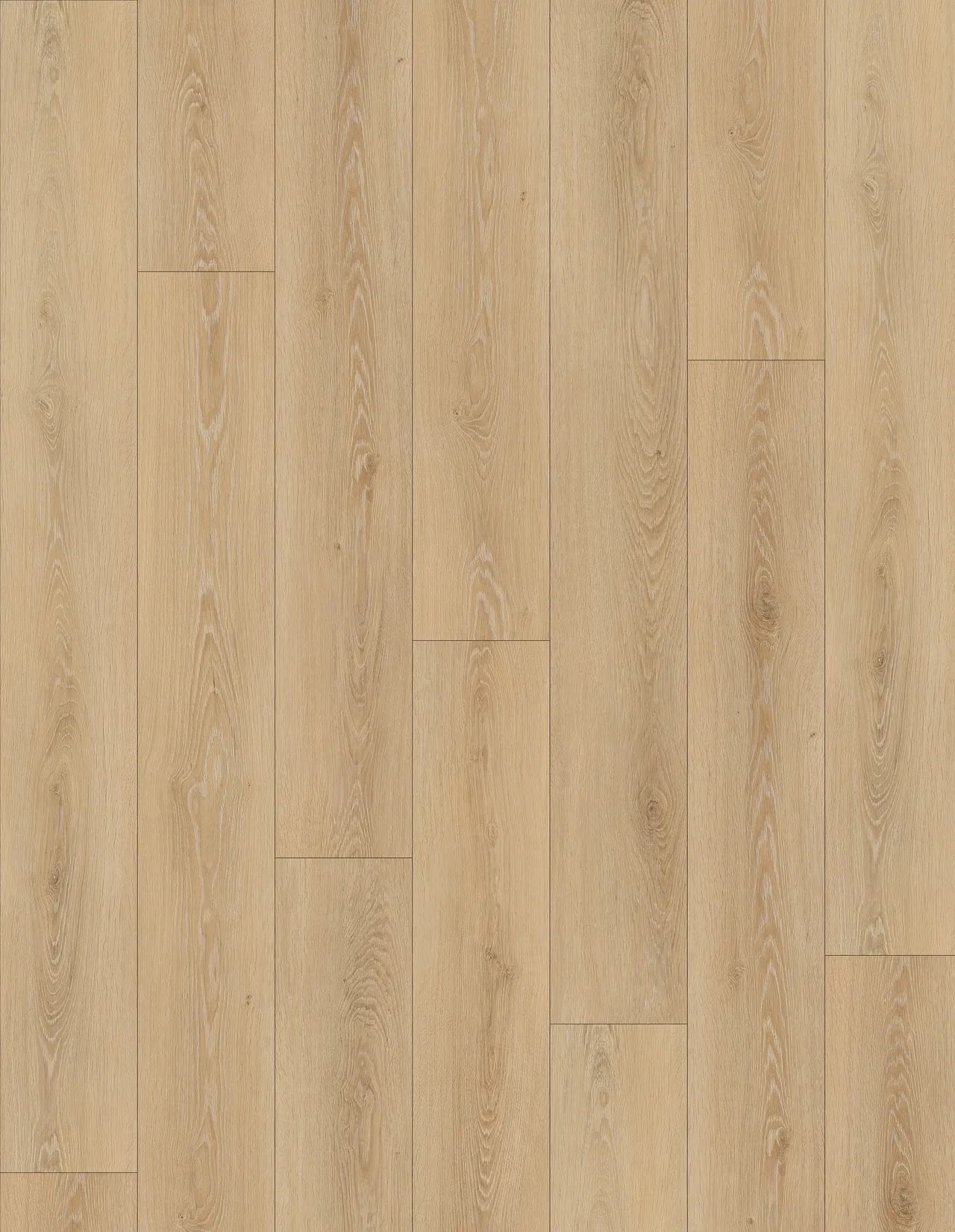 Pangol SPC Vinyl Flooring 8mm Collection