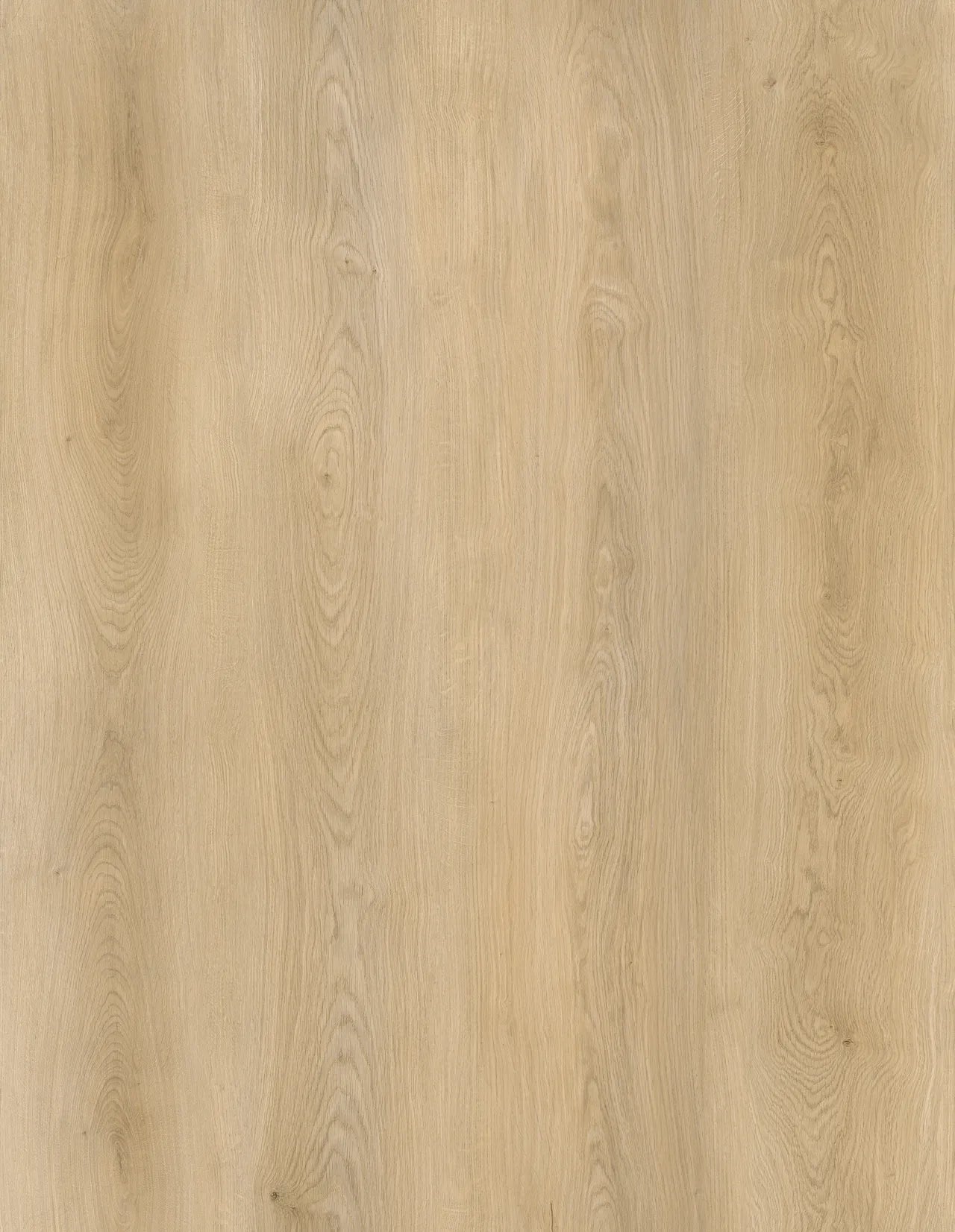 Pangol SPC Vinyl Flooring 8mm Collection