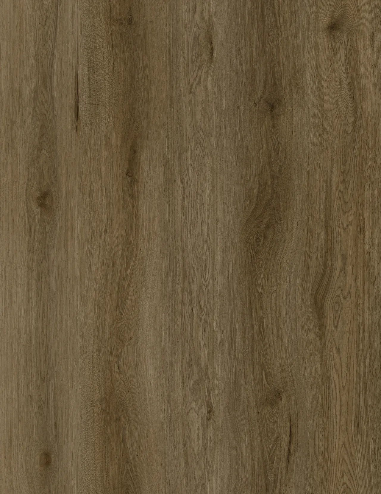 Pangol SPC Vinyl Flooring 8mm Collection