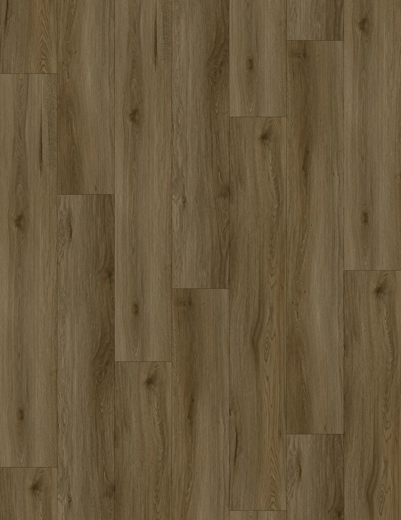 Pangol SPC Vinyl Flooring 8mm Collection