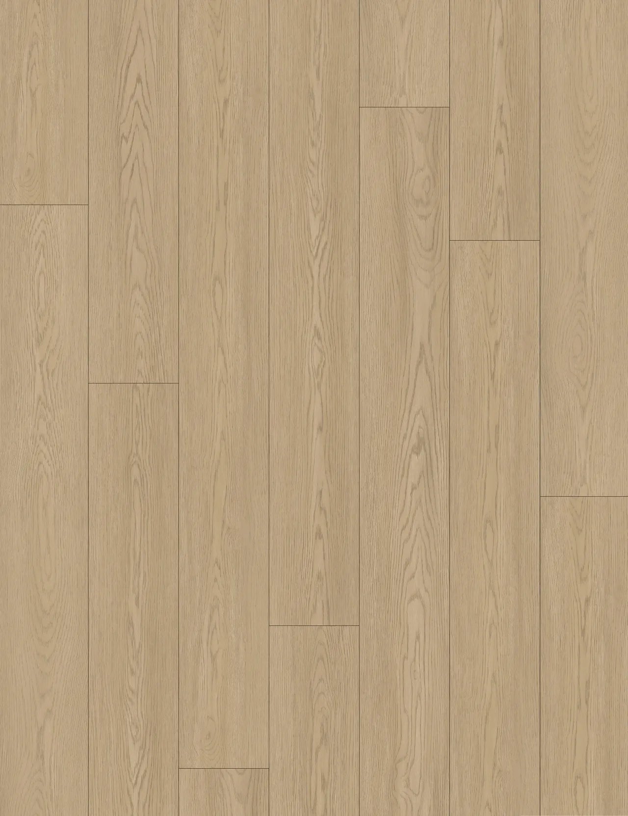 Pangol SPC Vinyl Flooring 8mm Collection
